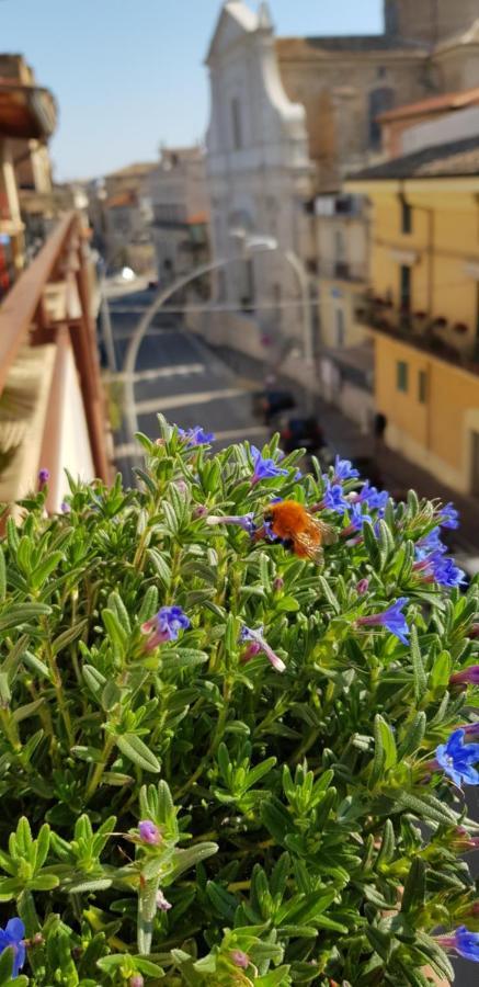 Il Nido B&B San Vito Chietino Luaran gambar